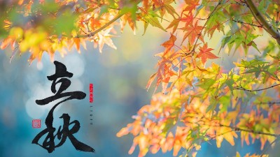 立秋 | 盛夏暑氣遠(yuǎn)，酒中秋色濃