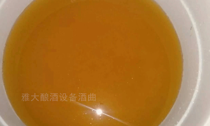 10.27生料發(fā)酵完成狀態(tài)